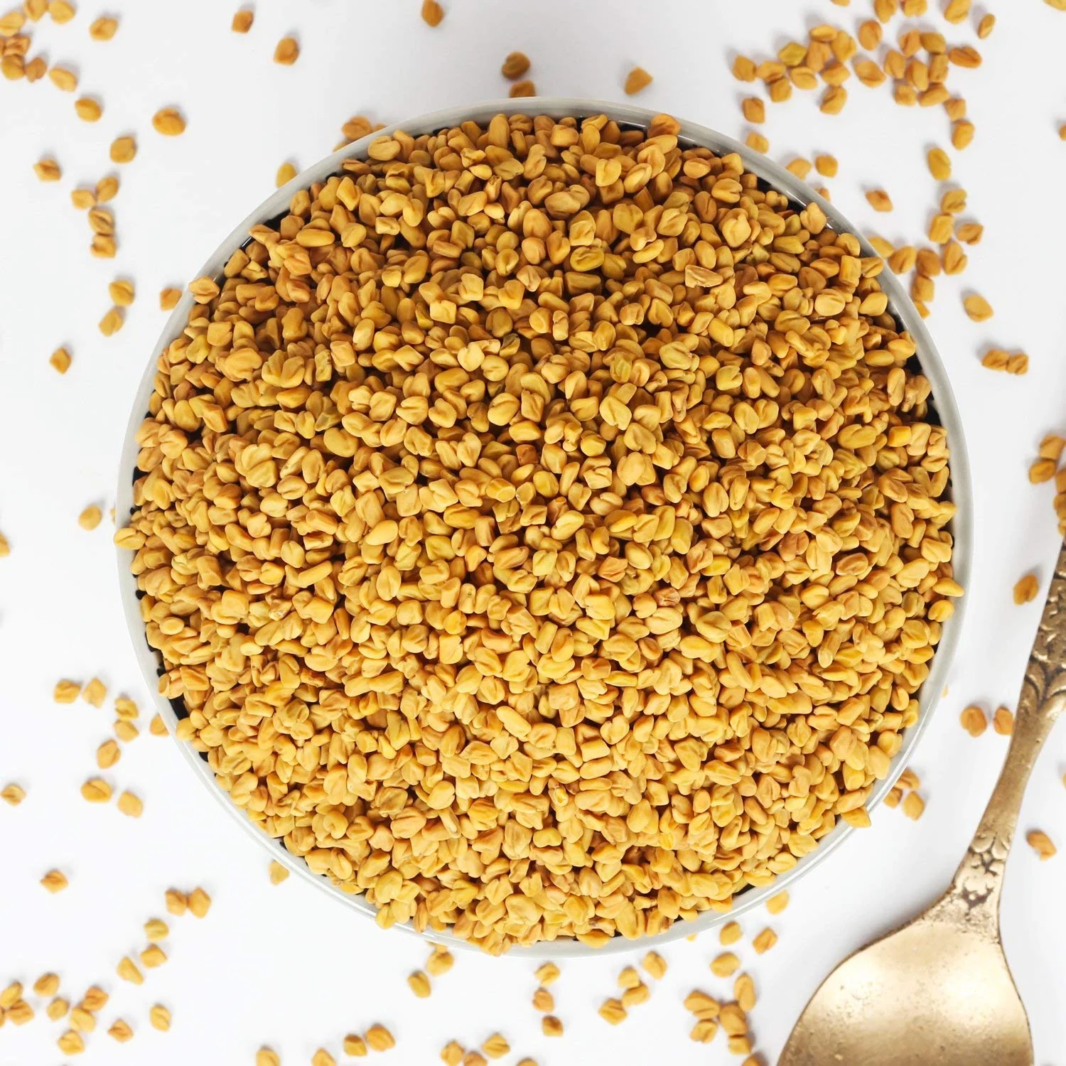 MGS Agrograin Corp. India Pvt. Ltd. | MGS GROUP | MGS CORPORATION INDIA