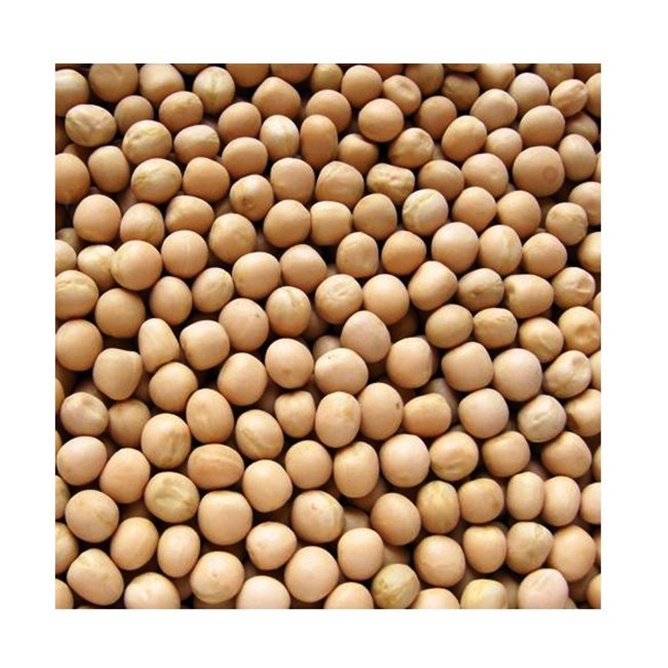MGS Agrograin Corp. India Pvt. Ltd. | MGS GROUP | MGS CORPORATION INDIA